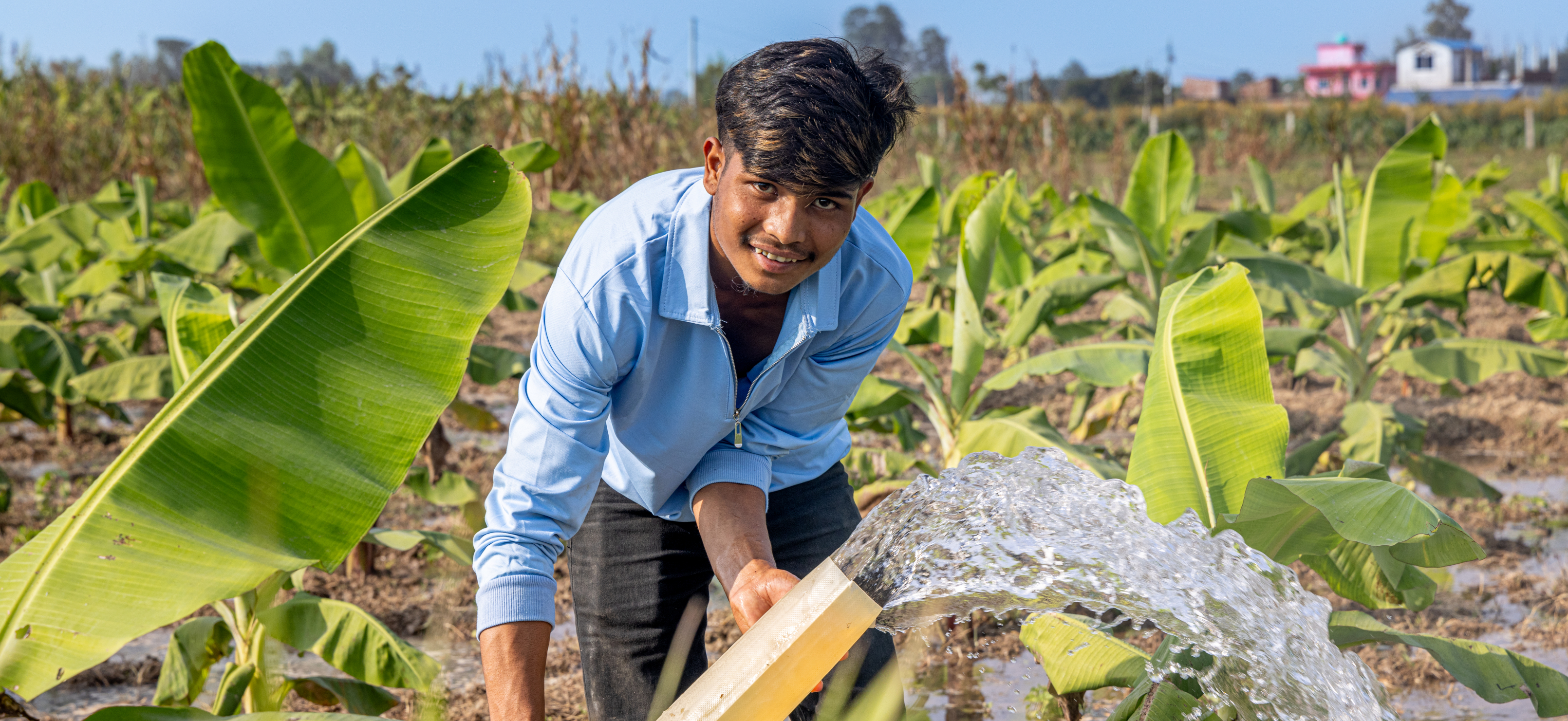 A young Nepali farmer holds a hose with streaming water in a banana field