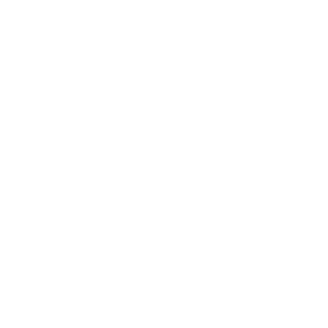 Local capacity strengthening