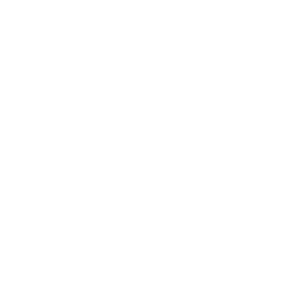 Partnership development and management