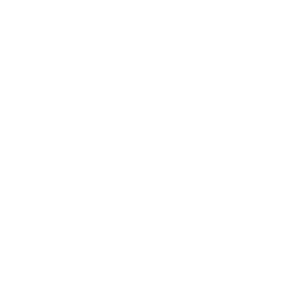 Program design and delivery