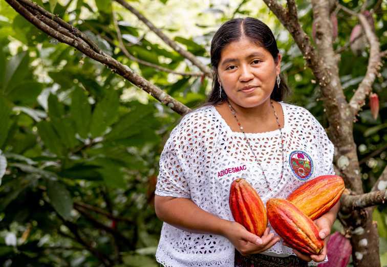 Cocoa-led Development: Maximizing Opportunities in Coffee and Cacao in the Americas (MOCCA)