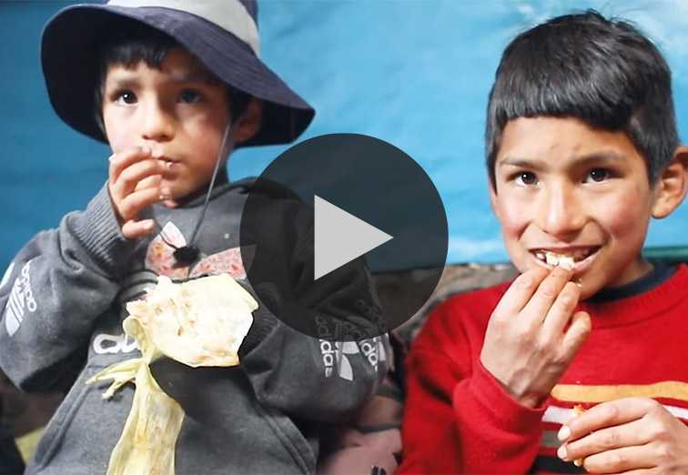 Promoting Food Security in Castrovirreyna, Peru