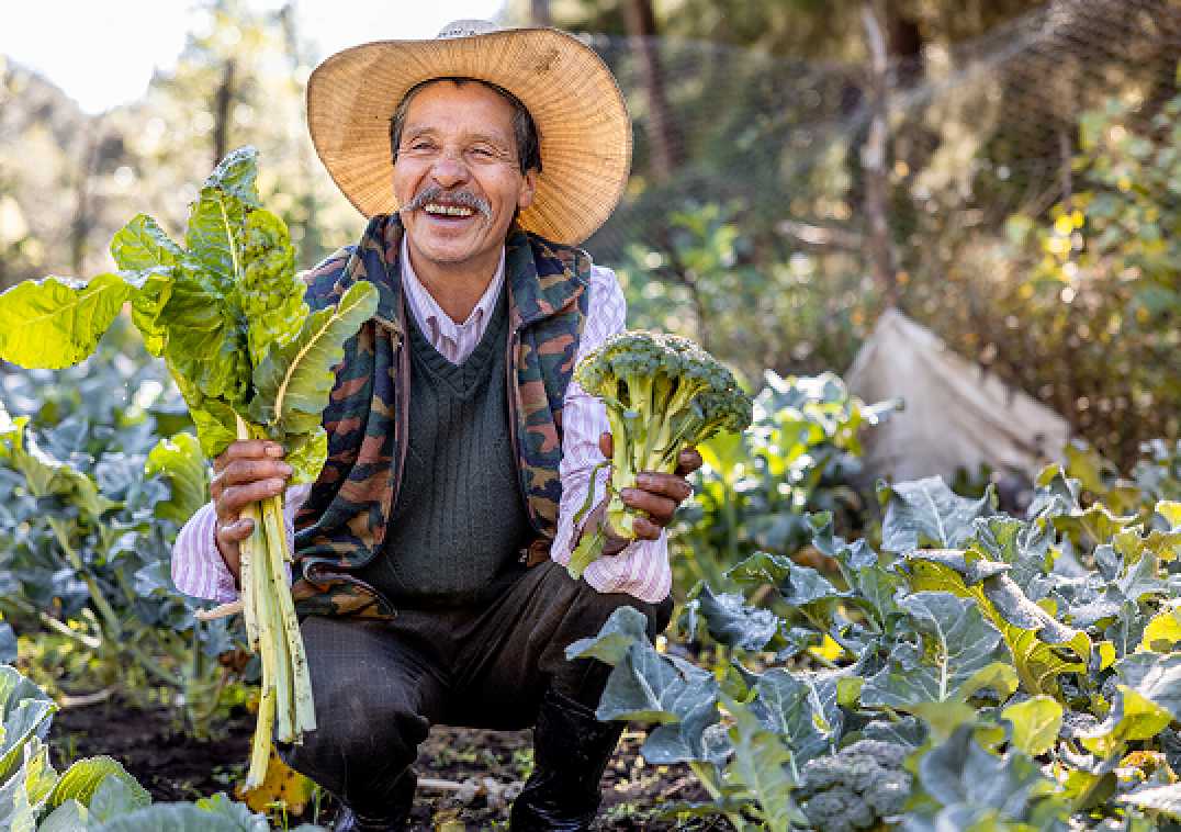 Rural Economic Development