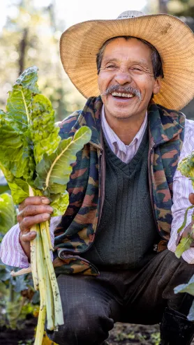 Rural Economic Development