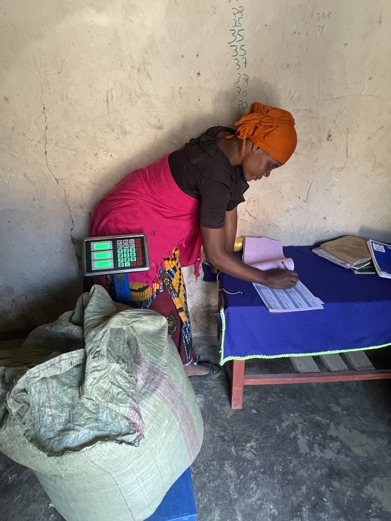 Corus International organization Lutheran World Relief supports a market system development approach in Tanzania to strengthen the pyrethrum value chain and support smallholder producers.