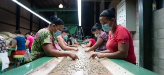 Private sector engagement: Central America and the “business” of hope 