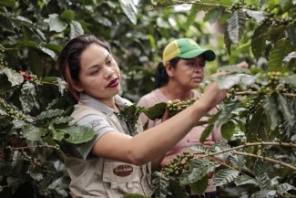 Christian Science Monitor: How Nicaraguan coffee farmers are adapting to climate change