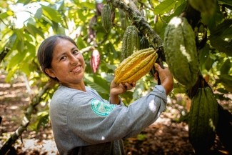 Tahir In The Agrilinks: Tech for Development: How a Simple App is Transforming the Cacao Industry in Latin America