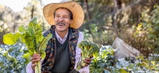 Rural Economic Development
