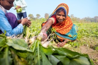 Breaking the cycle of poverty for lasting change