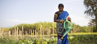 Strengthening resilient communities: Climate-smart agriculture and disaster risk reduction in Nepal