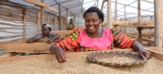 The Corus Effect: How Mountain Harvest transforms lives through coffee