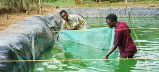 Investing in agriculture and youth entrepreneurship in Tanzania