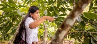 Addressing root causes of migration in Guatemala
