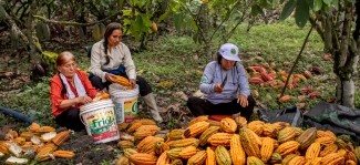 Women Farmers Grow Brighter Futures: Stories of Perseverance from Ukraine, Peru and South Sudan