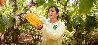 Corus International at Chocoa 2026: Advancing Farmer-Centered Solutions in the Global Cocoa Sector