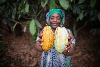 The USDA Food for Progress TRACE Project Launches at CFAN’s 2nd Annual Cocoa Festival in Nigeria