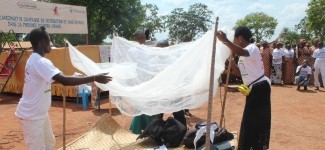 Battling Malaria: IMA World Health’s dedicated efforts in the DRC