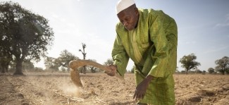 The Sahel crisis: Pressing need for resilient food systems 