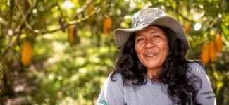 Chocoa 2024: Sustainability in the cocoa sector