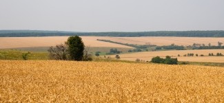 Corus launches project to support agricultural livelihood recovery in Ukraine  
