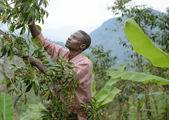 Investing in inclusive economic growth